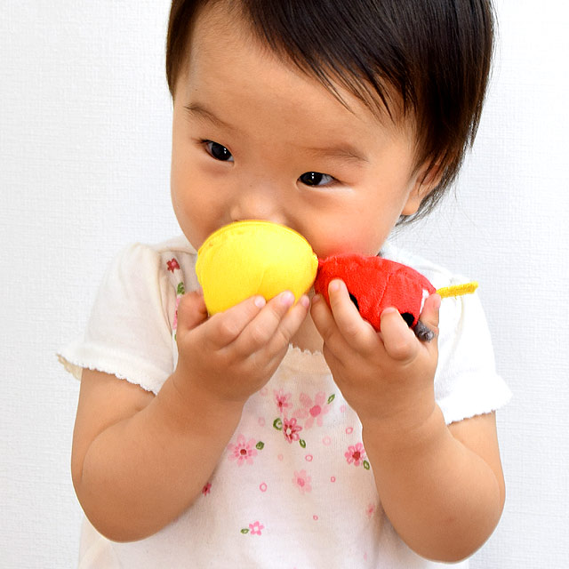 コロコロコロリン エドインター｜木のおもちゃ ポプリの森