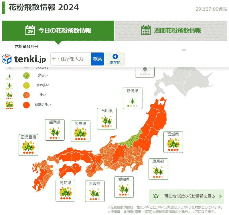 花粉情報