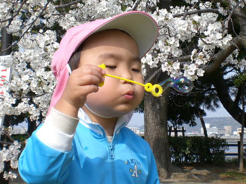 3歳頃から