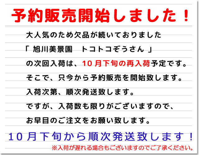 トコトコぞうさん予約販売